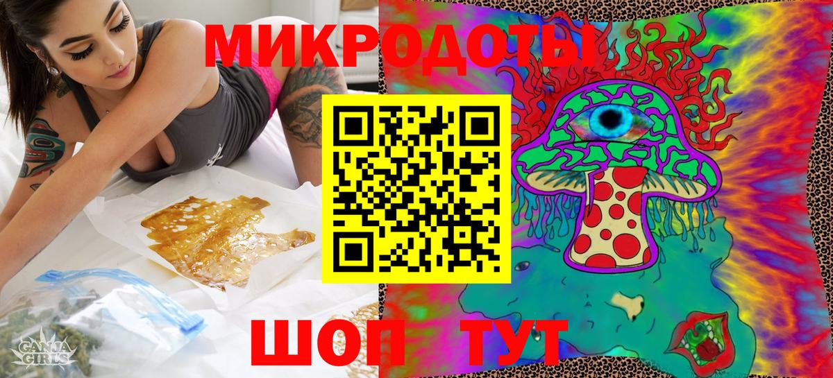 Псилоцибиновые грибы мицелий Минеральные Воды