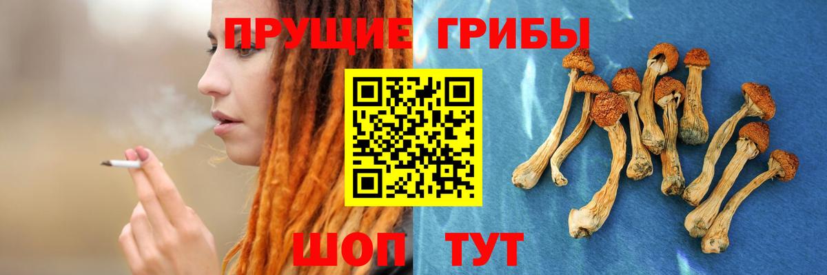 Галлюциногенные грибы GOLDEN TEACHER  Вход с VPN  Минеральные Воды 